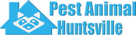 Huntsville Wildlife and Animal Removal